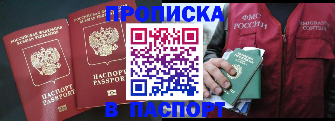 прописка 2025 в Тайге